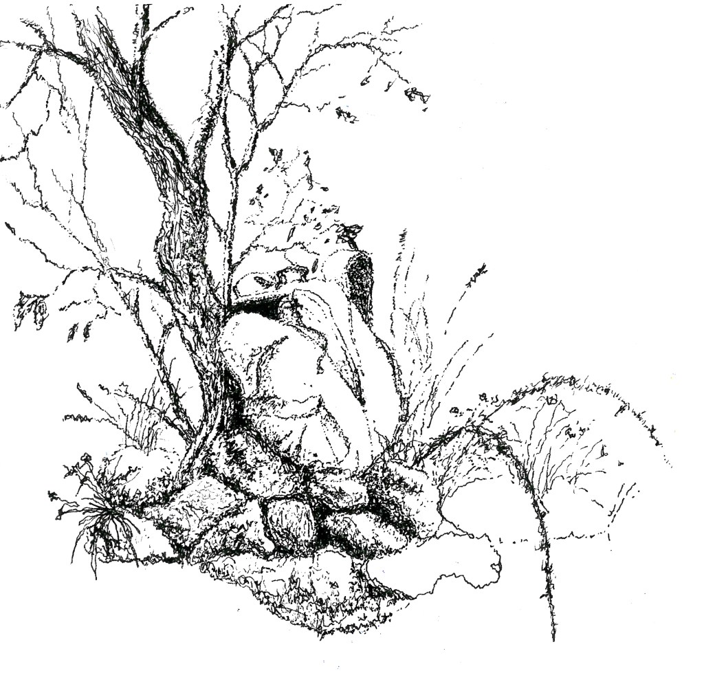 Dessin représentant un sac à dos dans une forêt. Récit de la marche à travers la Slovénie de Kozina à la Croatie.